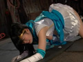 セーラープリズム 美少女戦士セーラーメディウム磔標本