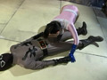 ヒロインフェラチオ地獄 ミス・グレイス編