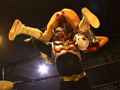 超戦士格闘技列伝 マックスウーマン