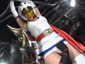 HEROINE陥落倶楽部11 スワンファイター