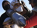 くノ一戦士 シノビテクターMIZUKI