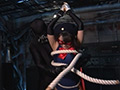 セ・レーヌの星