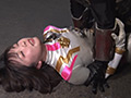 ヒロインハンティング 強獣戦隊ワイルドレンジャー