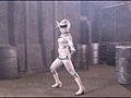 騎装戦隊ブリッドレンジャー 完全野外性的陥落地獄