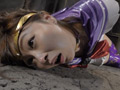 美聖女戦士セーラーナイトエルメス