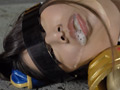 正義の仮面淑女☆スーパーブルーブルマ