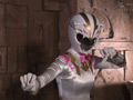 強獣戦隊ワイルドレンジャー ～ワイルドホワイト～