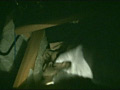悪戯マンション090