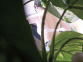 新・歌舞伎町 整体治療院95