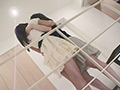 百合の世界【四】