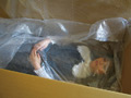 僕だけの性処理中出しDoll