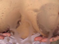 母乳はママの味 ミルクタンク人妻と超変態SEX
