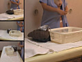 鍼灸院治療 FILE46