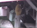 露天風呂3 120分スペシャル