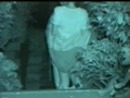 流出！！木々の中で絡み合うカップルの青○○撮映像