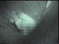 21時覗き地帯1 全編赤外線透写作品