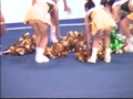 追っかけチア ズームイン局部スペシャル
