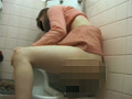 トイレに潜むオナニスト