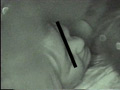 外で堂々とヤッてる奴らは○撮してやれッ！5