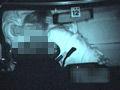 車内の情事2