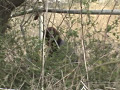 実録 野しょんべん ギリ間に合った女達