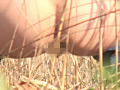 実録 野しょんべん ギリ間に合った女達