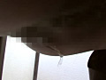 大便排泄視感1