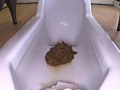 和式便所の使い方完全マニュアル
