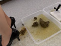 直立脱糞 排泄実験観察シリーズ13