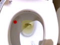 自撮り大便録 1 みさき 2週間の排泄記録