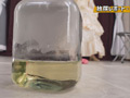 放尿レポート ドレス編