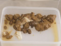 女に下剤を飲ませ排泄姿を覗いた上、ウンコを採取12