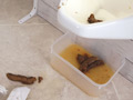 立ち小便器の使い方完全マニュアル11