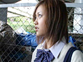 HAPPY FISH 石橋春奈