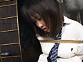 HAPPY FISH 山下麻美