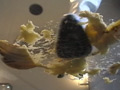 ロングブーツ舐め踏み VOL.10 白ブーツ踏み潰し