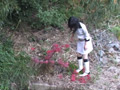 使用人二人と彼岸花をブーツで踏み潰す美人お嬢様