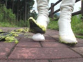 美人お嬢様の散歩の相手すら出来ない使用人