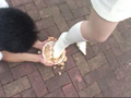美人お嬢様の散歩の相手すら出来ない使用人
