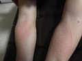 踏まれることが美人ウエイトレス様への忠誠心