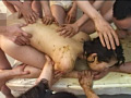脱糞セレブスペシャル4