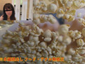 美尻が迫る！潰す！迫力満点のヒップフードクラッシュ！