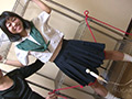 制服妄想図鑑15