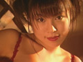 大人のAVベストセレクション vol.16