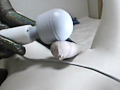 ゼンタイバーチャル恋人 夢野まりあ