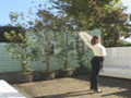 唾ぐちゅボイン妻 むちコス発情勃起喰い