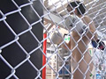 全裸de全力GYM vol.5 鈴屋いちご