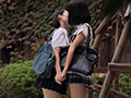 純系ラビリンス／橋本菜都