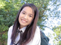 純系ブラッド1／2 田宮春陽