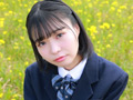 るるるんぼでぃ／羽川るる BD
